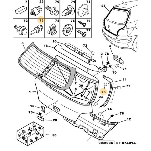 ORJNAL 307 PANDZOT TIRNAI 699218