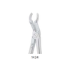 G�rsel 1