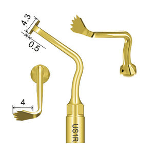 Woodpecker Piezo Kemik Cerrahi U�