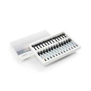 Coltene Synergy D6 Universal Nano Hibrit Kompozit �ntro Kit