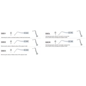 Woodpecker Cavity Preparation Kavitron U�