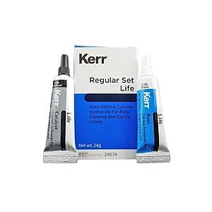 Kerr Life Kalsiyum Hidroksit Kaide Materyali Kavite Liner Regular Set