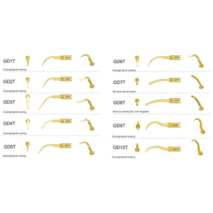 Woodpecker Scaling Gold Kavitron U�