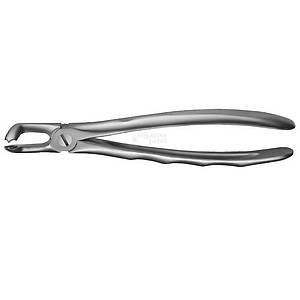 Carl Martin Alt Yirmi Ya� Davye LS79