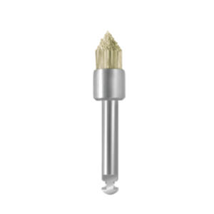 Eve Brush Silisyum Carbide ��erikli Porselen ve Kompozit Parlatma F�r�as� WS1