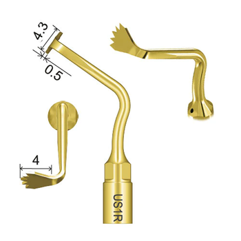 Woodpecker Piezo Kemik Cerrahi U