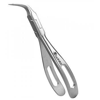 Carl Martin Rooter Forceps 1209RH