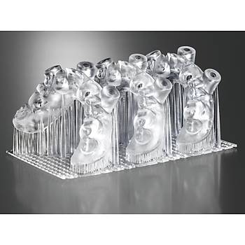 Detax Freeprint Ortho 405nm 3D Yazc Reinesi