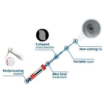 VDW Reciproc Blue Rotary Kanal E�esi 4 L�