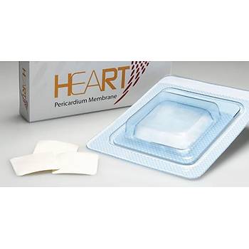 Bioteck Heart Pericardium Membrane (25 x 30 x 0.2mm - 0.4mm)