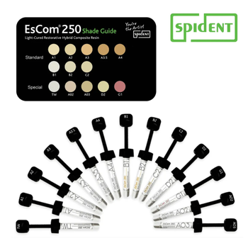 Spident Escom 250 Nanohibrit Kompozit