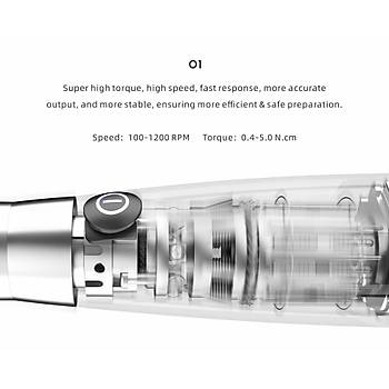 Woodpecker Endo Radar Plus Endomotor ve Apex Bulucu