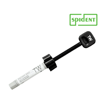 Spident Escom 250 Nanohibrit Kompozit