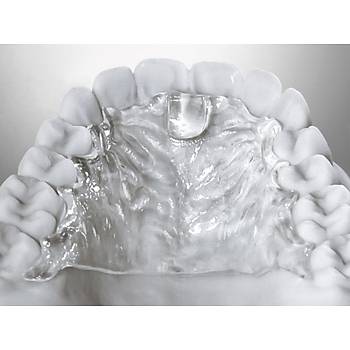Detax Freeprint Ortho 405nm 3D Yazc Reinesi