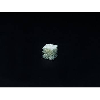Bioteck Osteoxenon Cancellous Block Greft (10 x 10 x 10mm)