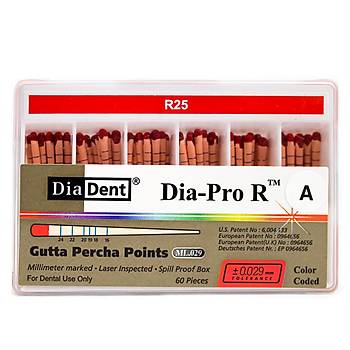Diadent Dia-Pro R Reciproc Gutta Percha