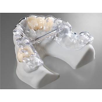 Detax Freeprint Ortho 405nm 3D Yazc Reinesi