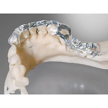 Detax Freeprint Ortho 405nm 3D Yazc Reinesi