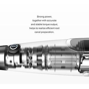 Woodpecker Motopex Endomotor ve Apex Bulucu