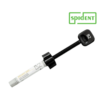 Spident Escom 250 Nanohibrit Kompozit