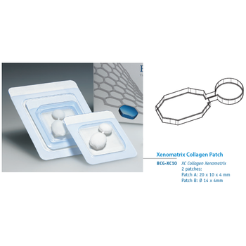 Bioteck Collagen Xenomatrix (20 x 10 x 4mm / 14 x 4mm)