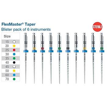 VDW FlexMaster Rotary Kanal E�esi NiTi