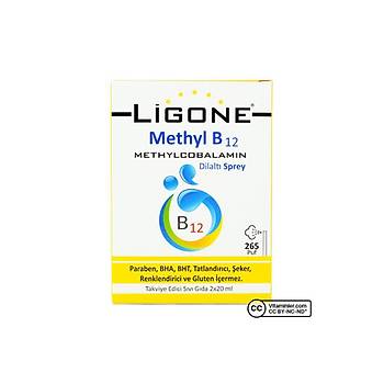 Lgone Mthyl B12 Sprey 2*20 Ml