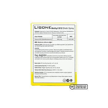 Lgone Mthyl B12 Sprey 2*20 Ml