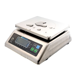 Necklife 30 Kg 1 Gr Paslanmaz Dijital Hassas Terazi