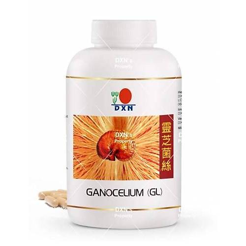 DXN Ganocelium (GL) 360 Kýrmýzý Mantar Ganoderma Lucidum Gold