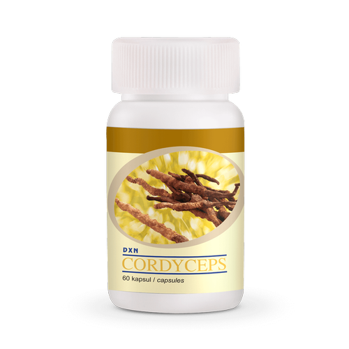 DXN Cordyceps (Trtl Mantar)