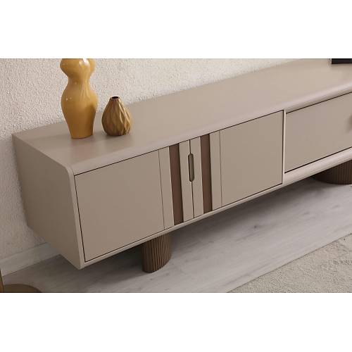Picasso Tv �nitesi