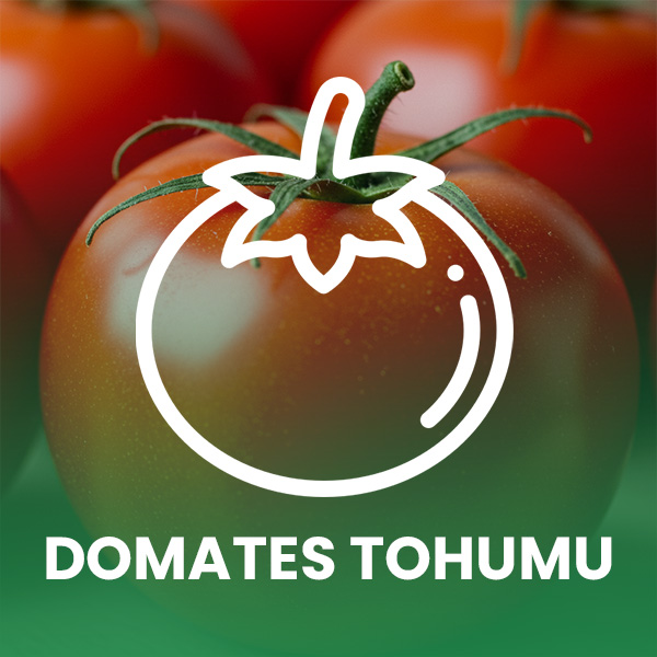 Domates Tohumu