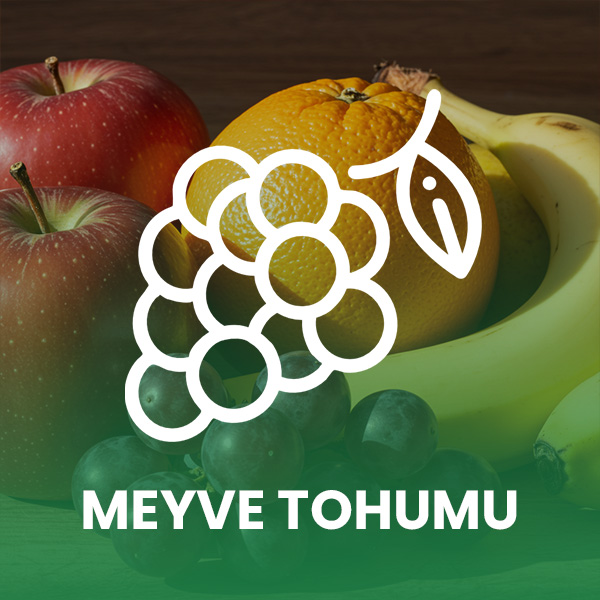 Meyve Tohumu