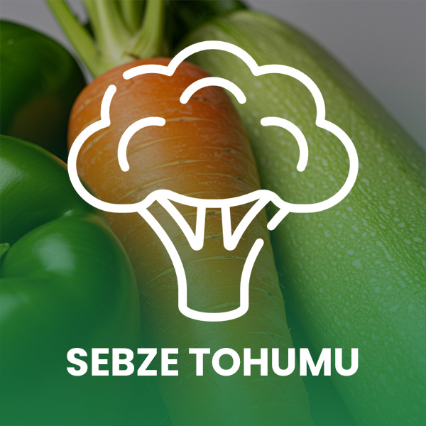 Sebze Tohumu