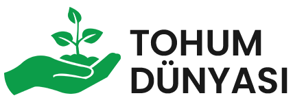 Tohum Dünyası