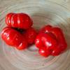 G�rsel 1