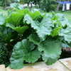 G�rsel 3