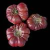 G�rsel 1