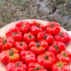 G�rsel 4