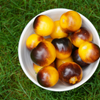 G�rsel 2