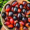 G�rsel 3