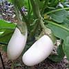 G�rsel 2