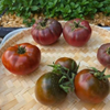 G�rsel 2