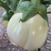 G�rsel 3