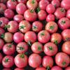 G�rsel 3