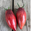G�rsel 3