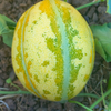 G�rsel 2