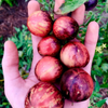 G�rsel 3