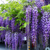 G�rsel 3